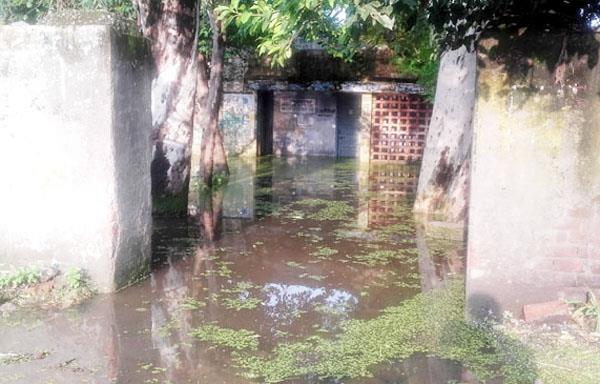veterinary hospital sank in rain water