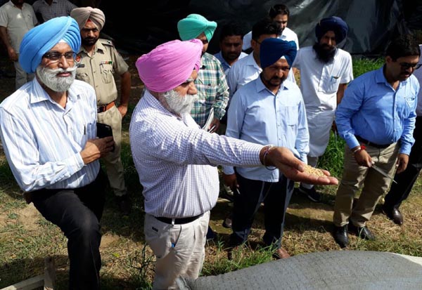 ਵਿਜੀਲੈਂਸ ਦੀ ਛਾਪੇਮਾਰੀ : ਪਨਗ੍ਰੇਨ ਦੇ ਗੋਦਾਮਾਂ ''ਚ 50 ਹਜ਼ਾਰ ਬੋਰੀ ਖਰਾਬ ਕਣਕ ਮਿਲੀ