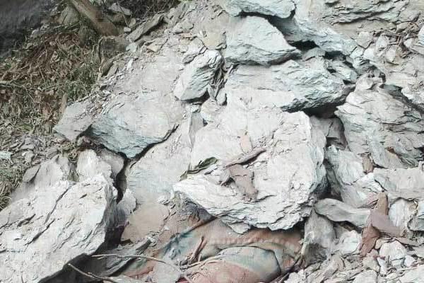 nepali laborer dies due to landslide