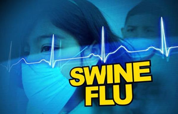 district swine flu wrap up 