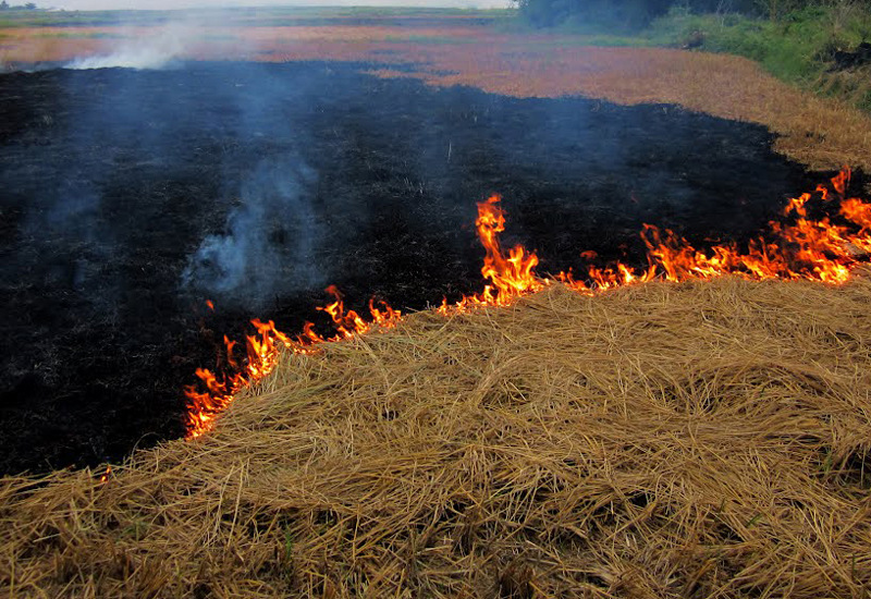 ਪਰਾਲੀ ਸਾੜਨ ਤੋਂ ਹੋਣ ਵਾਲੇ ਪ੍ਰਦੂਸ਼ਣ ਦੀ ਰਿਪੋਰਟ ਜਮ੍ਹਾ ਕਰਵਾਉਣ ਲਈ ਜ਼ਿਲਾ ਪਟਿਆਲਾ ਨੂੰ ਆਖ਼ਰੀ ਮੌਕਾ