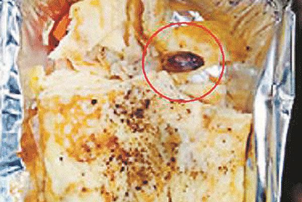 cockroach serviced with traveler in the train