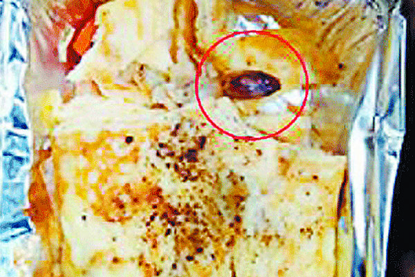 ਟਰੇਨ ''ਚ ਯਾਤਰੀ ਨੂੰ ਖਾਣੇ ਨਾਲ ਪਰੋਸਿਆ ਕਾਕਰੋਚ