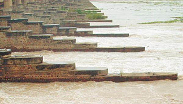 harike river water level decreased