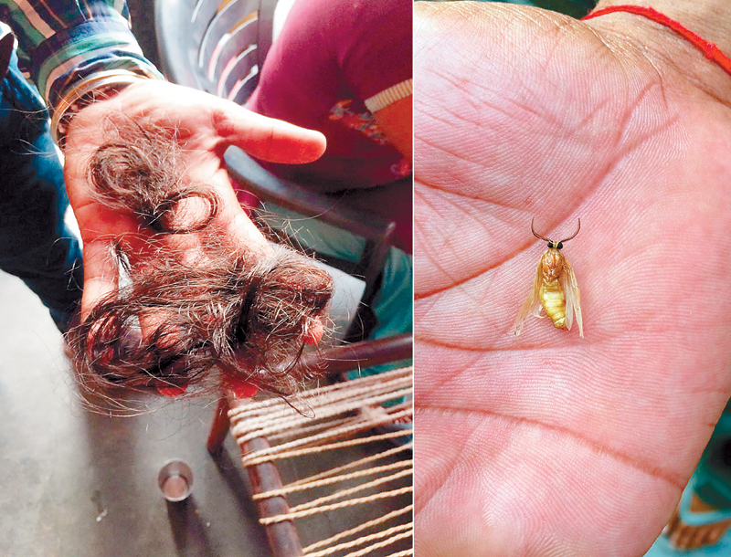 ਨਵਾਂ ਗਰਾਓਂ ''ਚ ਲੜਕੇ ਦੇ ਵਾਲ ਕੱਟੇ, ਮਿਲਿਆ ਕੀੜਾ