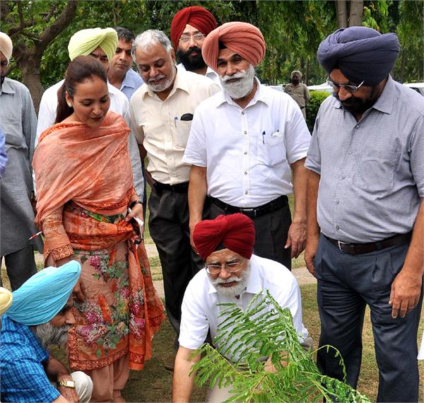 checking in univercity