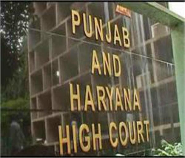 high court dera chief sant gurmit ram rahim