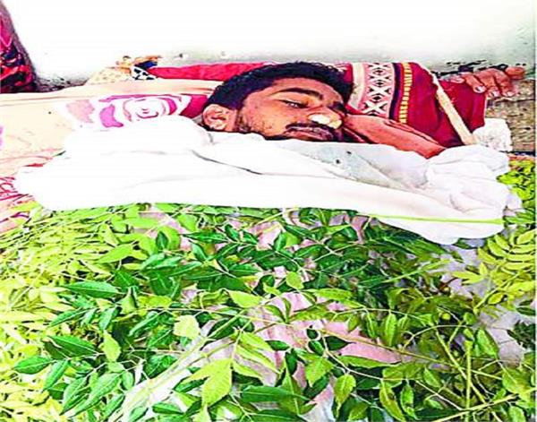 the death of a laborer by a snake  s tail