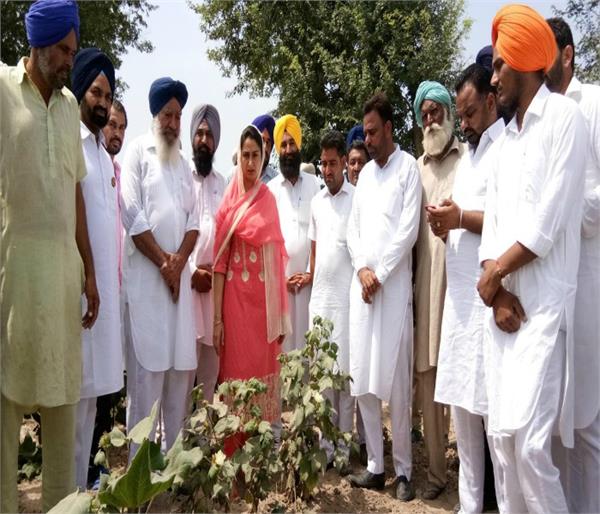 harsimrat kaur badal