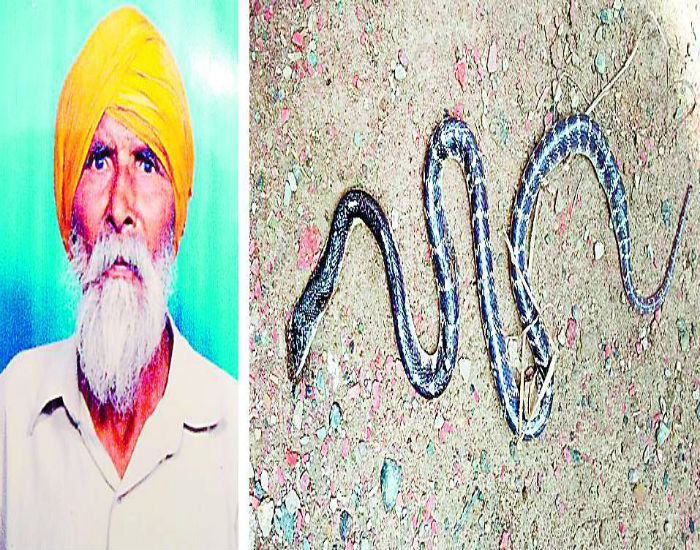 ਸੱਪ ਦੇ ਡੰਗਣ ਨਾਲ ਵਿਅਕਤੀ ਦੀ ਮੌਤ