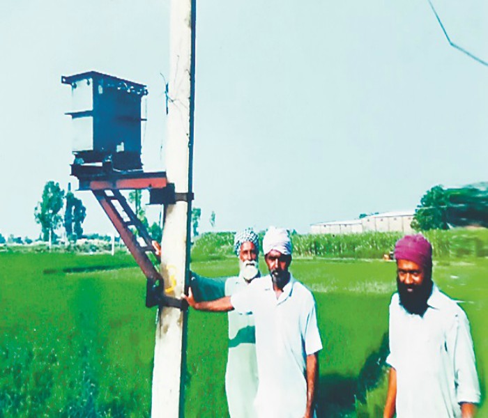 ਟ੍ਰਾਂਸਫਾਰਮਰ ''ਚੋਂ ਤੇਲ ਤੇ ਤਾਬਾਂ ਚੋਰੀ