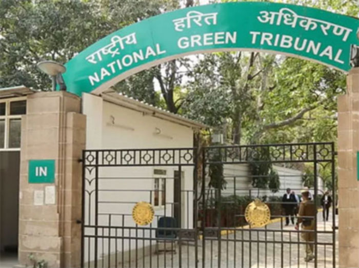 ਮੱਖੀਆਂ ਨੇ ਕੀਤਾ ਪਰੇਸ਼ਾਨ, ਐਨ.ਜੀ.ਟੀ ਦੀ ਸ਼ਰਨ ''ਚ ਗਿਆ 6 ਸਾਲ ਦਾ ਬੱਚਾ