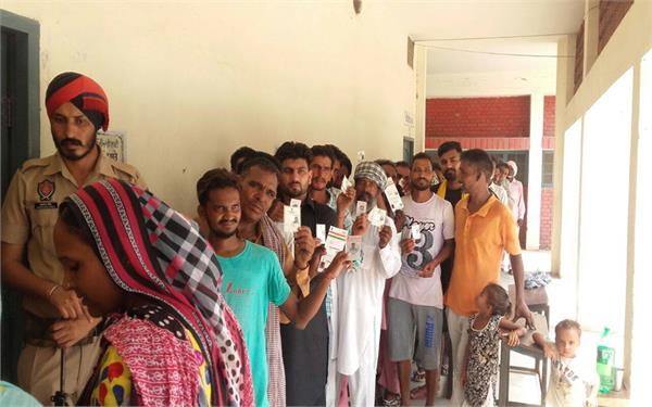 election  congress  aam aadmi party