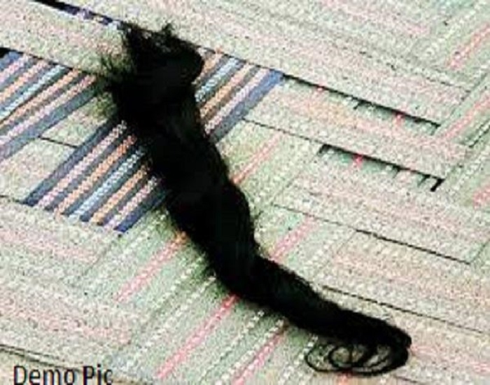 ਹੁਣ ਮੂਨਕ ''ਚ ਕੱਟੀ ਗਈ ਔਰਤ ਦੀ ਗੁੱਤ