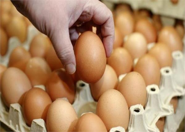 stir  health  descriptive