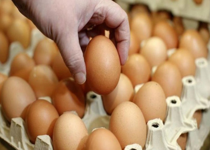 ਹਾਂਗਕਾਂਗ ਦੇ ਬਾਅਦ ਹੁਣ ਇਟਲੀ ਵਿਚ ਮਿਲੇ ਕੀਟਨਾਸ਼ਕ ਅੰਡੇ