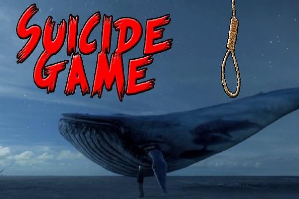 the death game blue whale has another innocent child s life to swallow