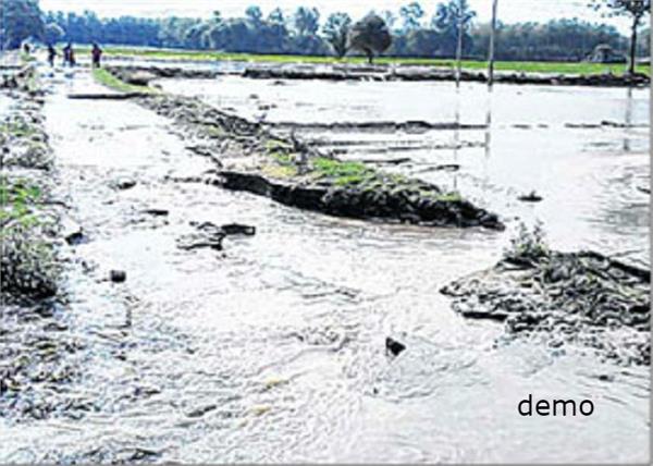 the damage done to farmers due to administrative failure