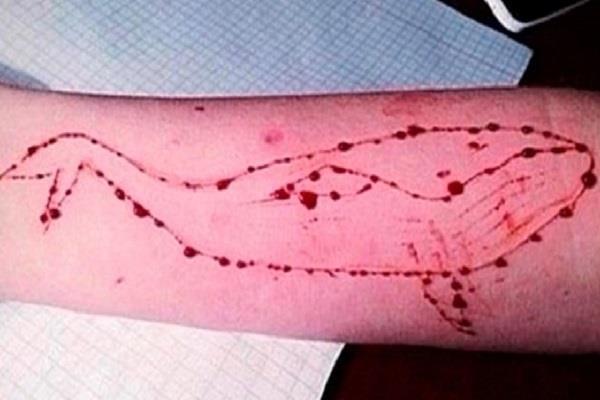 the death game will now be banned at   blue whale  