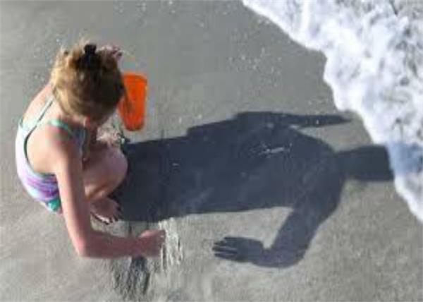 hamilton girl mistakes alligator in yard for a pool toy