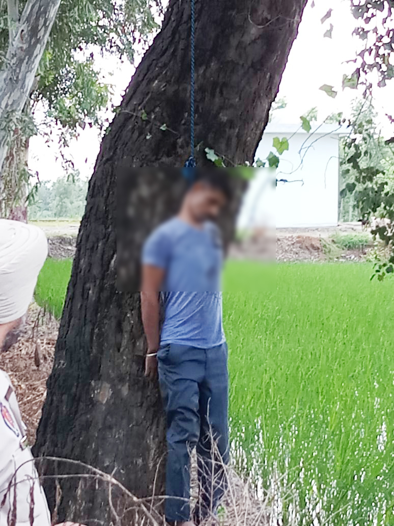 ਹੱਥ ਬੰਨ੍ਹ ਕੇ ਦਰੱਖਤ ਨਾਲ ਲਟਕਾਈ ਨੌਜਵਾਨ ਦੀ ਲਾਸ਼, ਦੇਖ ਸਹਿਮ ਗਿਆ ਹਰ ਕੋਈ