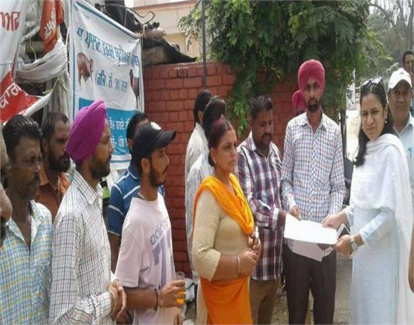 animal husbandry department  nabha  raw workers