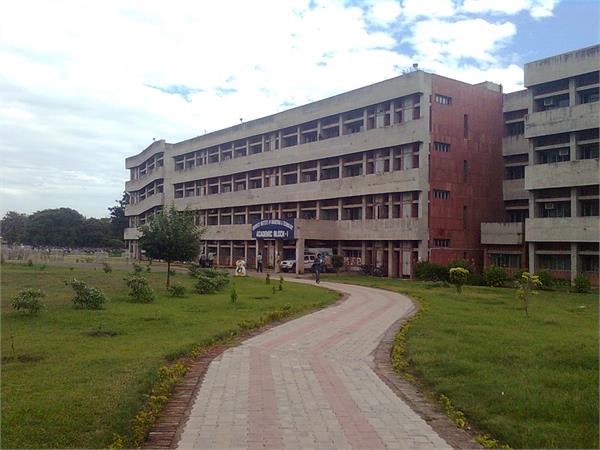 punjab university purchase cameras