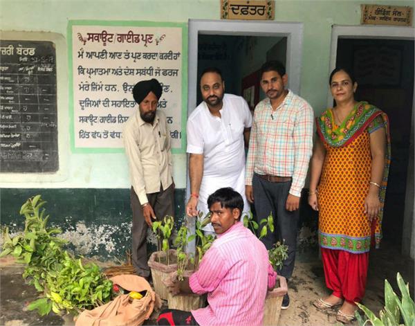 plants  amarinder singh  kasampur