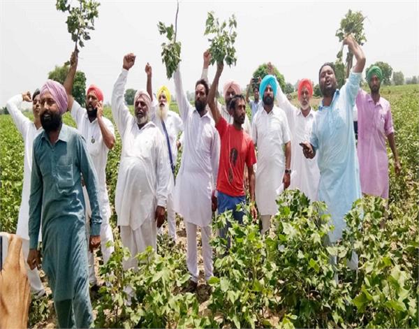chief minister capt amarinder singh police agriculture