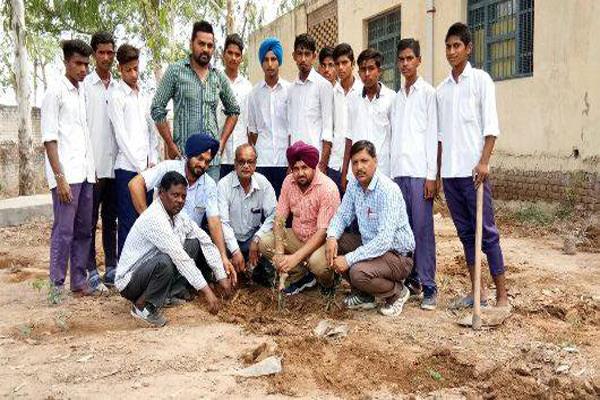 van mahautsav celebrated by cooperative bank