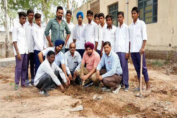 ਕੋਆਪਰੇਟਿਵ ਬੈਂਕ ਵੱਲੋਂ ਮਨਾਇਆ ਗਿਆ ਵਣ ਮਹਾਂਉਤਸਵ