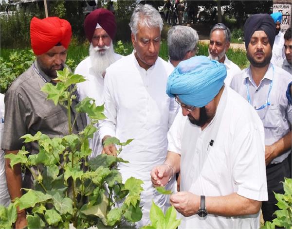 captain ordered to take strict action against suppliers of seeds