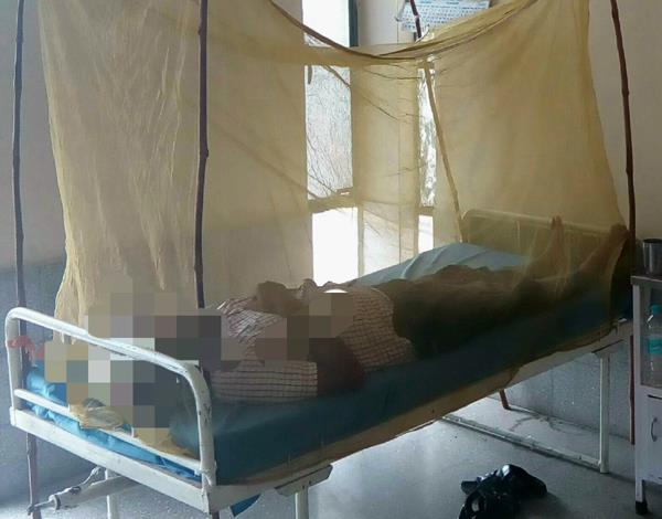 doctor nan dengue confirmation based on private laboratory card test report