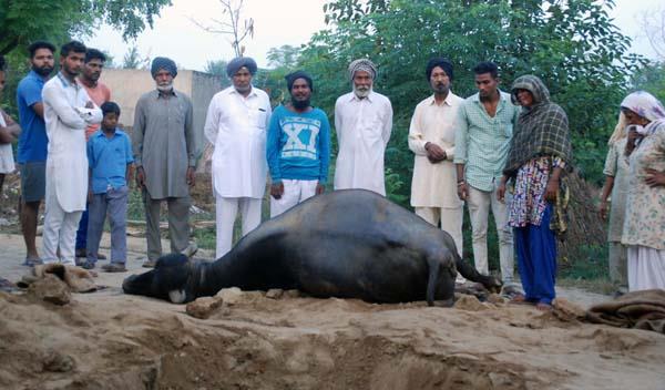 the swachh bharat campaign is a tribulation to poor families