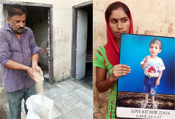 wheat being distributed at low level under atta dal scheme