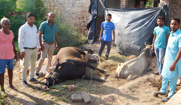 ਪਾਣੀ ਲਾਉਣ ਤੋਂ ਹੋਏ ਝਗੜੇ ''ਚ ਜ਼ਖਮੀ ਵਿਅਕਤੀ ਨੇ ਦਮ ਤੋੜਿਆ