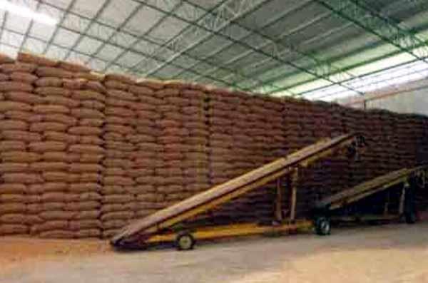 punjab  s new policy to be implemented from october 1