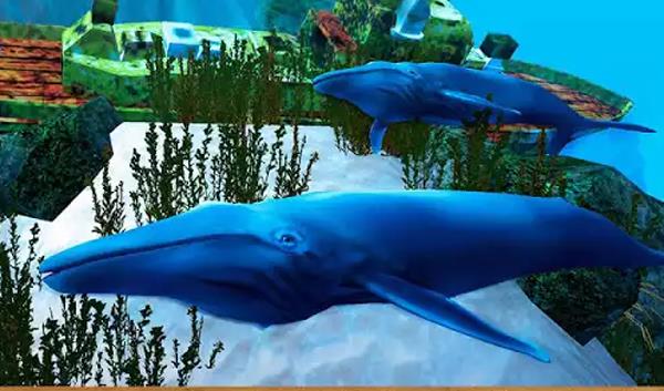 notice to educational institutions on the blue whale challenge game