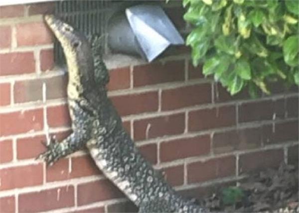 the person s boisterous sensation by looking at a four foot glazier behind him