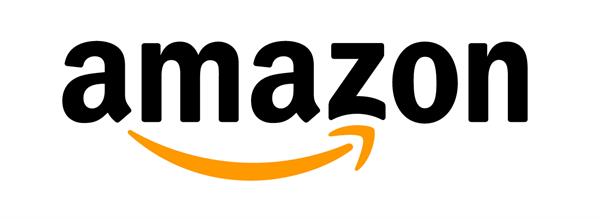 a joint venture created by amazon and patni group