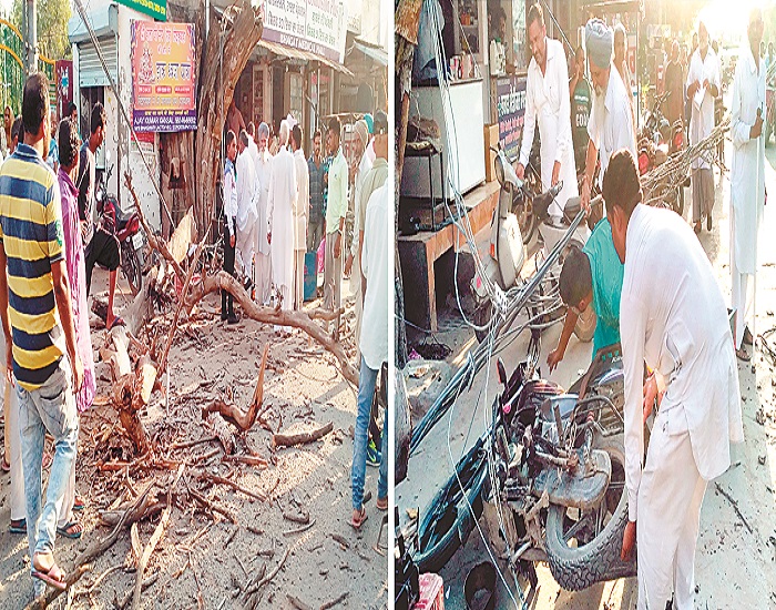 ਪਿੱਪਲ ਦੇ ਦਰੱਖਤ ਦਾ ਇਕ ਹਿੱਸਾ ਟੁੱਟ ਕੇ ਥੱਲੇ ਡਿੱਗਣ ਨਾਲ ਔਰਤ ਜ਼ਖਮੀ