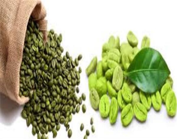 green coffee drinks many benefits