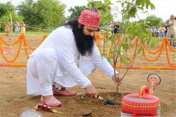 does anybody want to take ram rahim vegetables in lakhs of rupees     