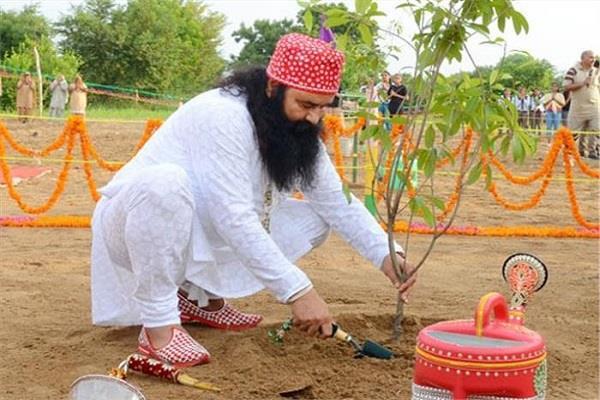 ਕੀ ਹੁਣ ਵੀ ਕੋਈ ਭਗਤ ਰਾਮ ਰਹੀਮ ਦੀਆਂ ਇੰਨਾ ਸਬਜ਼ੀਆਂ ਨੂੰ ਲੱਖਾਂ ਰੁਪਏ ''ਚ ਲੈਣਾ ਚਾਹੁੰਦੈ...?