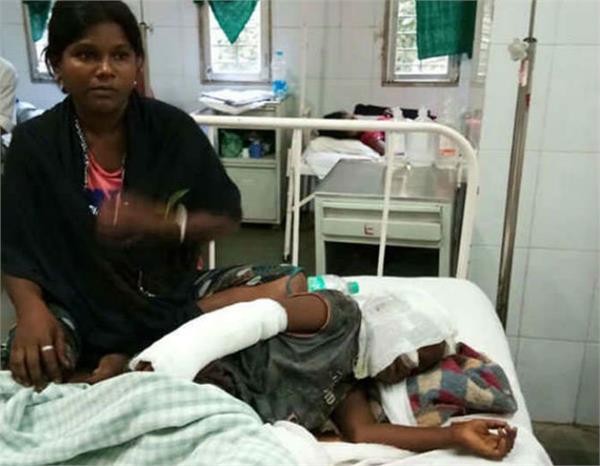 leopards  mother  son  jaan