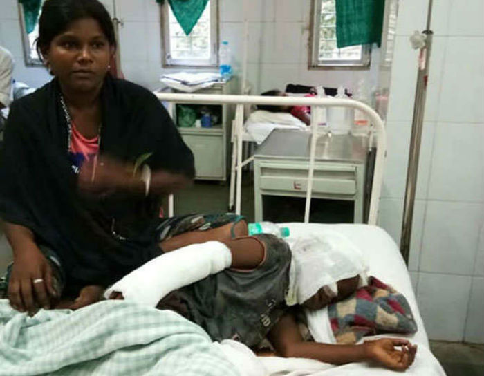 ਤੇਂਦੁਏ ਨਾਲ ਲੜ ਕੇ ਮਾਂ ਨੇ ਬਚਾਈ ਬੇਟੇ ਦੀ ਜਾਨ