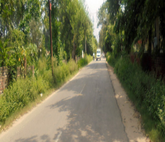 ਸੜਕਾਂ ''ਤੇ ਉੱਗੀ ਘਾਹ-ਬੂਟੀ ਕਟਵਾਏ ਜਾਣ ਦੀ ਮੰਗ