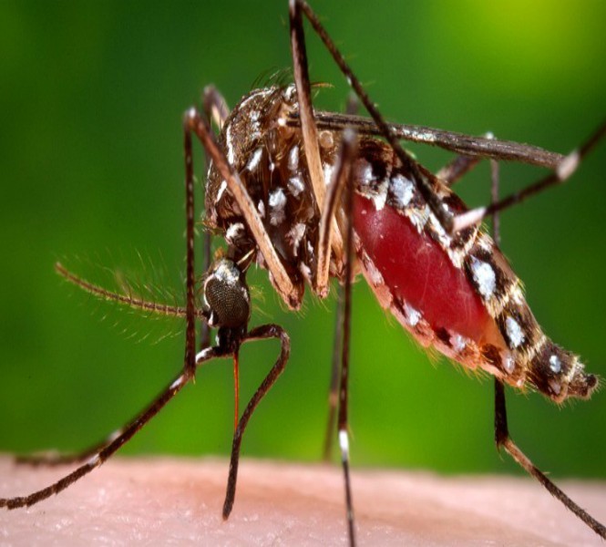 ਹੈਲਥ ਵਰਕਰਾਂ ਦੀਆਂ 2 ਹਜ਼ਾਰ ਆਸਾਮੀਆਂ ਖਾਲੀ, ਬਿਨਾਂ ਹਥਿਆਰਾਂ ਦੇ ਬੀਮਾਰੀਆਂ ''ਤੇ ਜੰਗ ਕਿਵੇਂ ਲੜੇਗਾ ਸਿਹਤ ਵਿਭਾਗ?