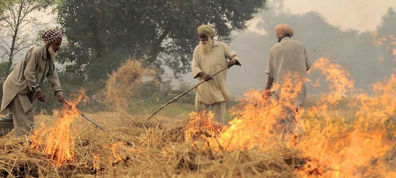 ਪਰਾਲੀ ਨੂੰ ਅੱਗ ਲਾਉਣ ਨਾਲ ਨਿਕਲਦੀਆਂ ਨੇ ਜ਼ਹਿਰੀਲੀਆਂ ਗੈਸਾਂ