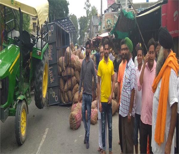 tractor trolley loaded with potato seeds